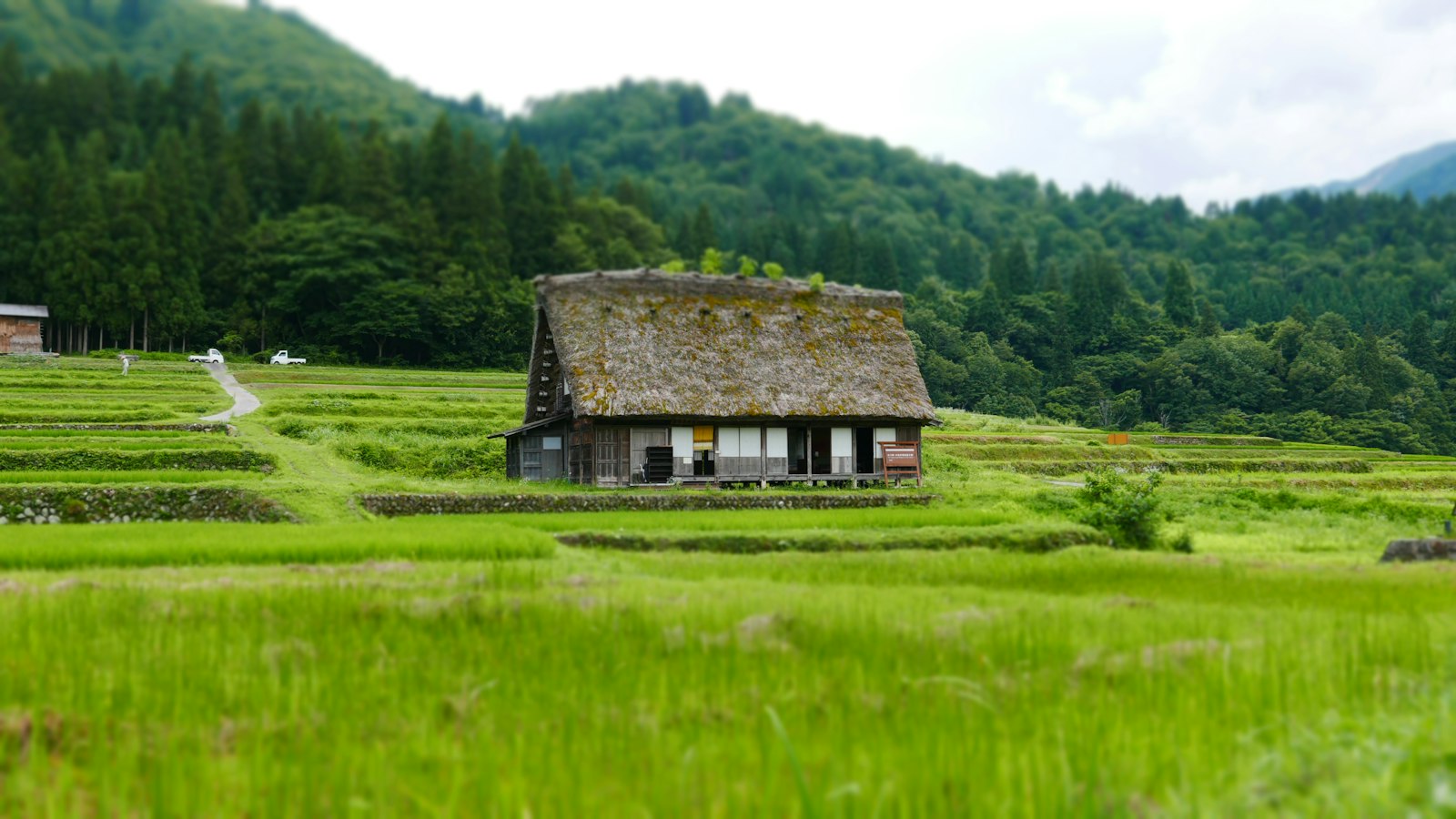 緑の野原にある茶色の木造家屋