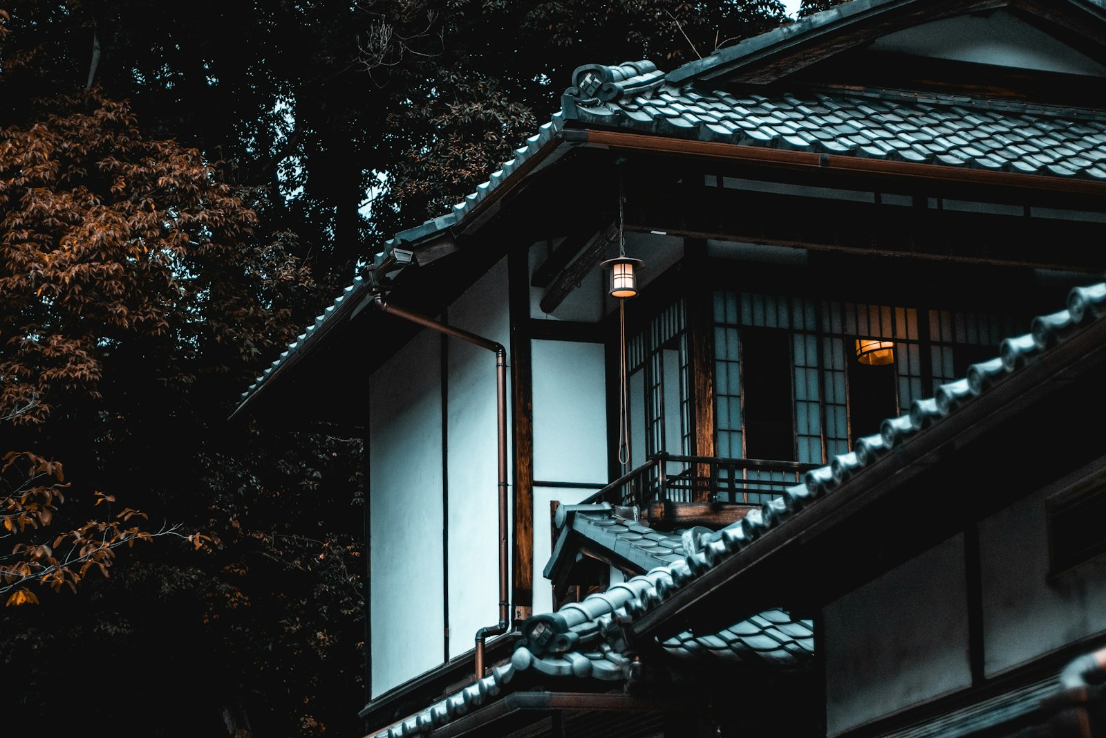 木のそばに建つ白と茶色の家