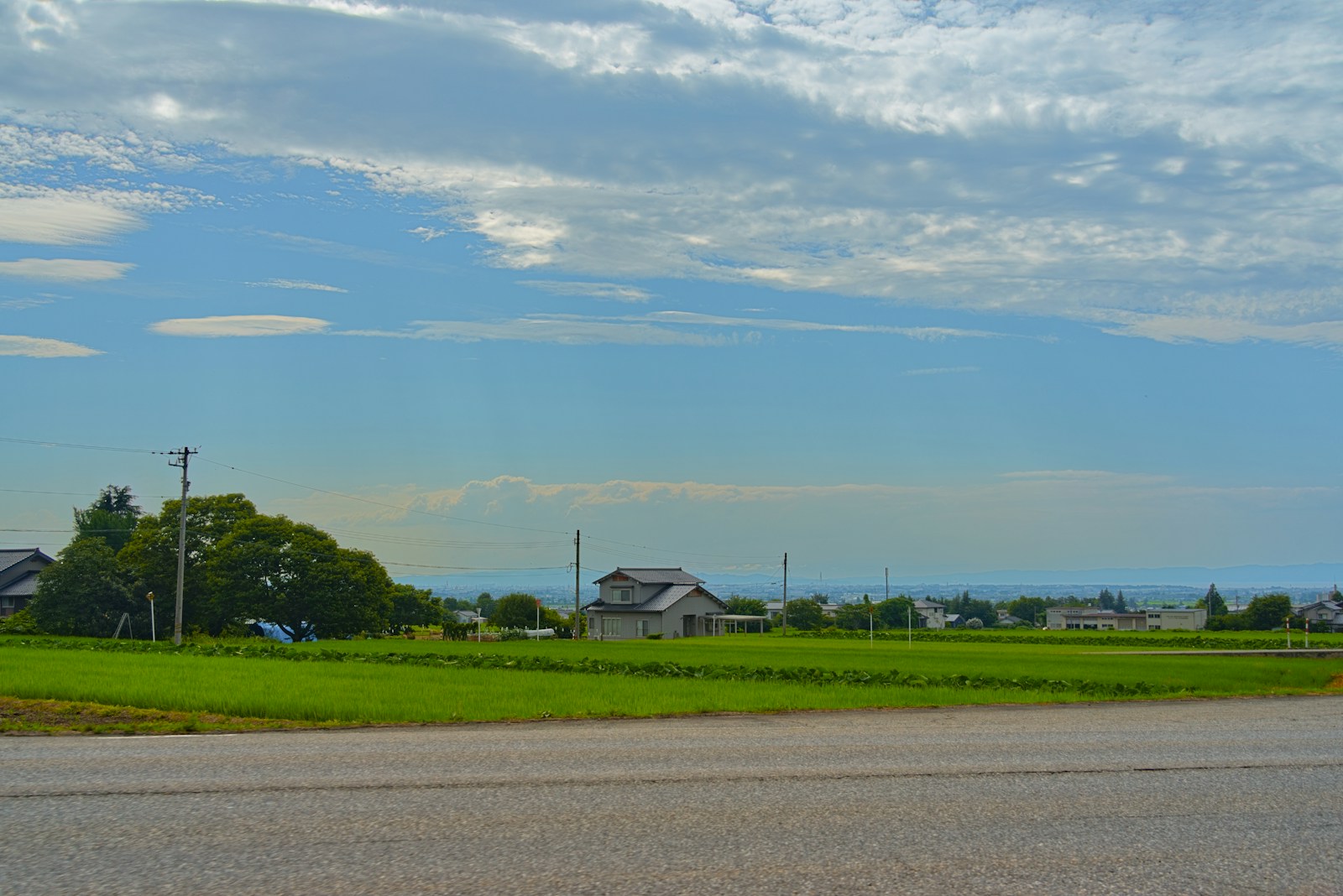 田んぼの向こうに家が点在する郊外の風景